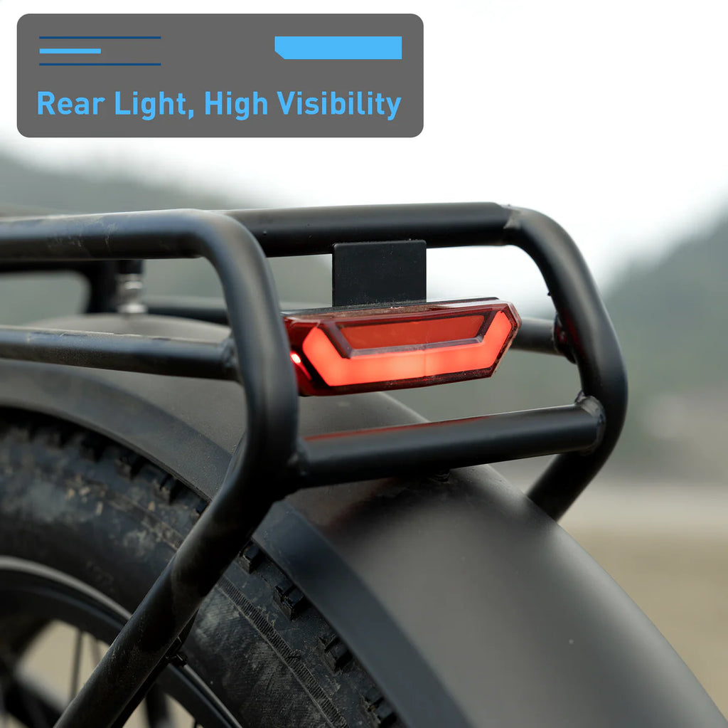 Hiboy EX11 Full Suspension Electric Bike