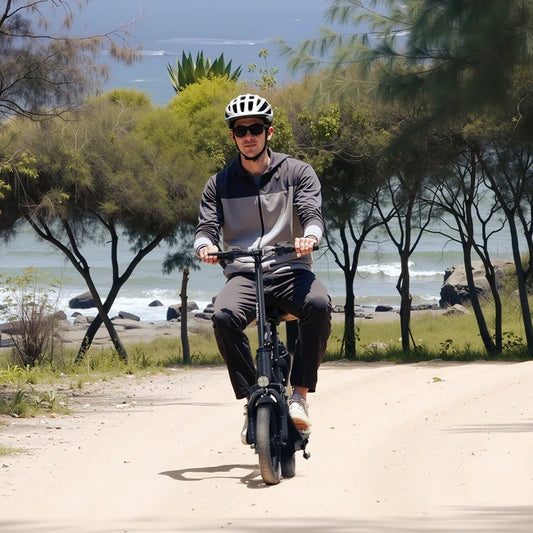 Hiboy Q2 Electric Seat Scooter for Adults