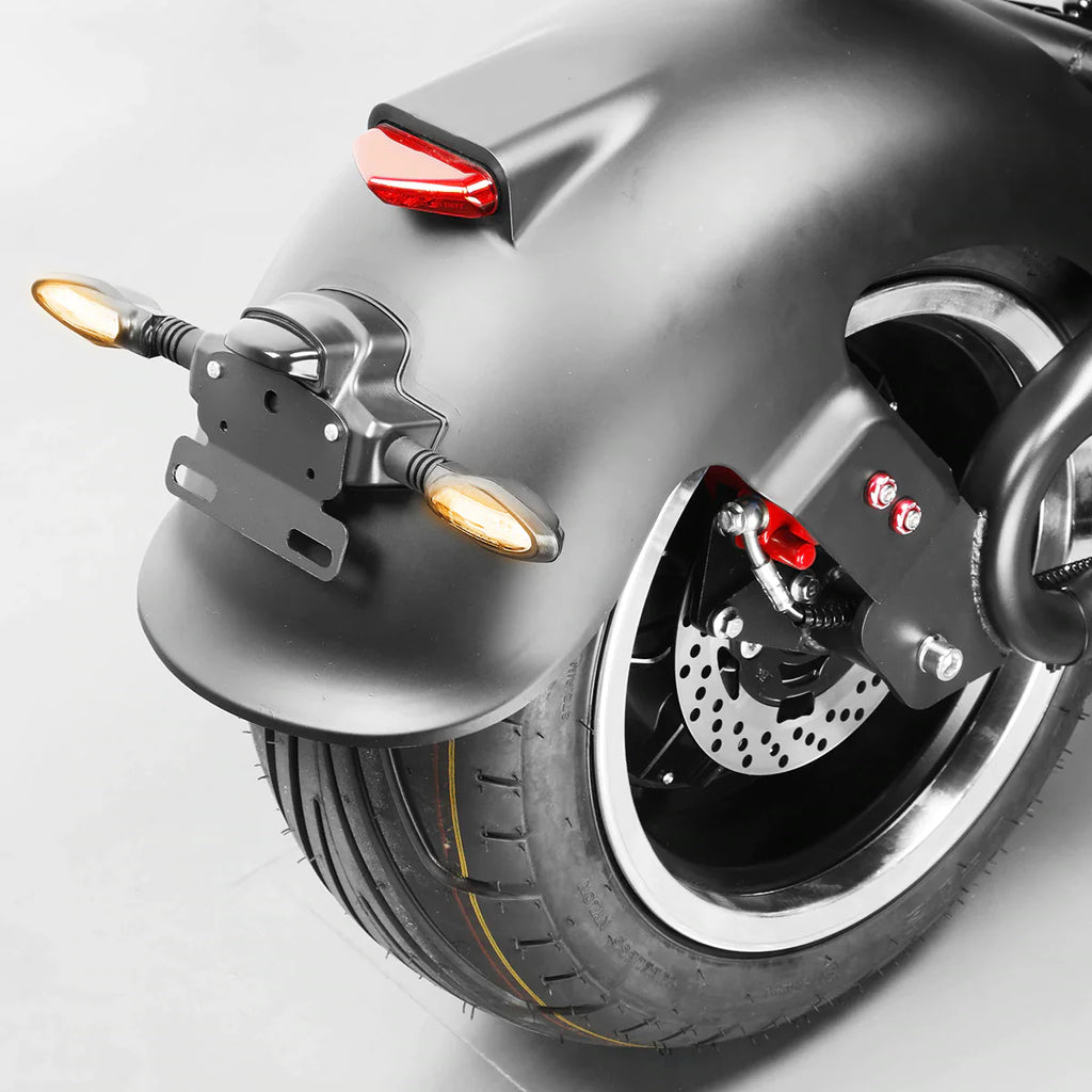 Eahora EMARS M1P electric chopper