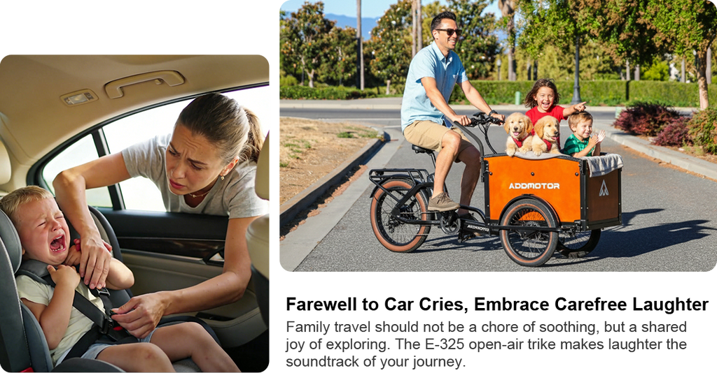 E-325 Family Electric Cargo Trike