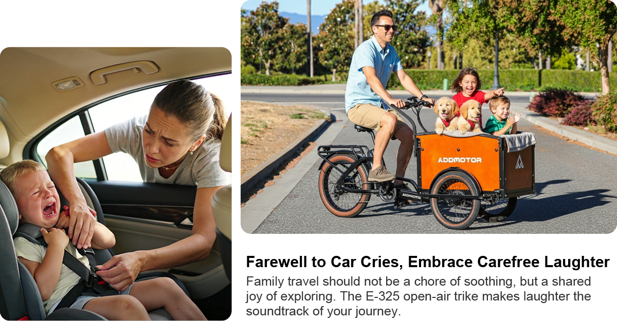 E-325 Family Electric Cargo Trike