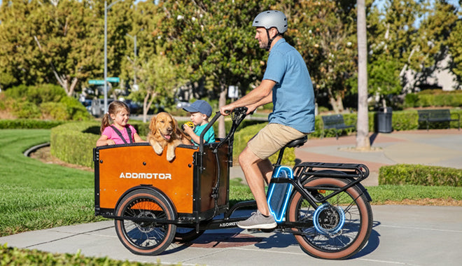 E-325 Family Electric Cargo Trike