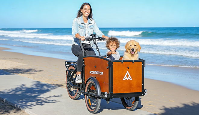 E-325 Family Electric Cargo Trike