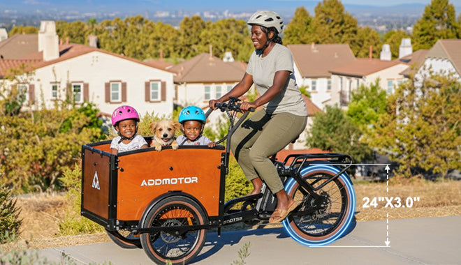 E-325 Family Electric Cargo Trike
