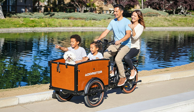 E-325 Family Electric Cargo Trike