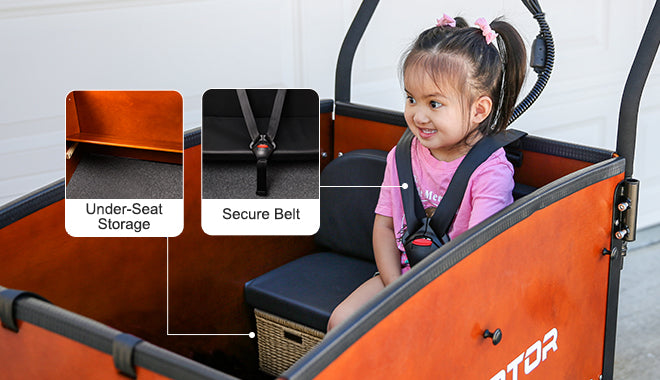 E-325 Family Electric Cargo Trike