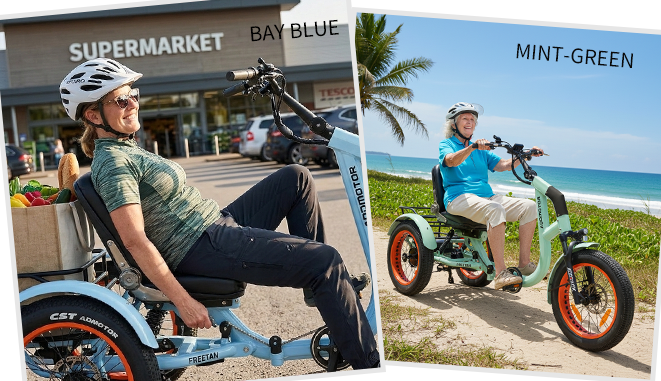 Freetan M-368X Full-Suspension Semi-Recumbent eTrike
