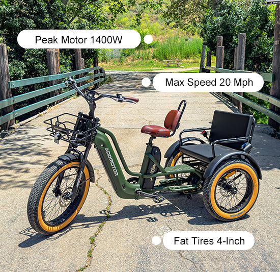 Greattan L Passenger eTrike