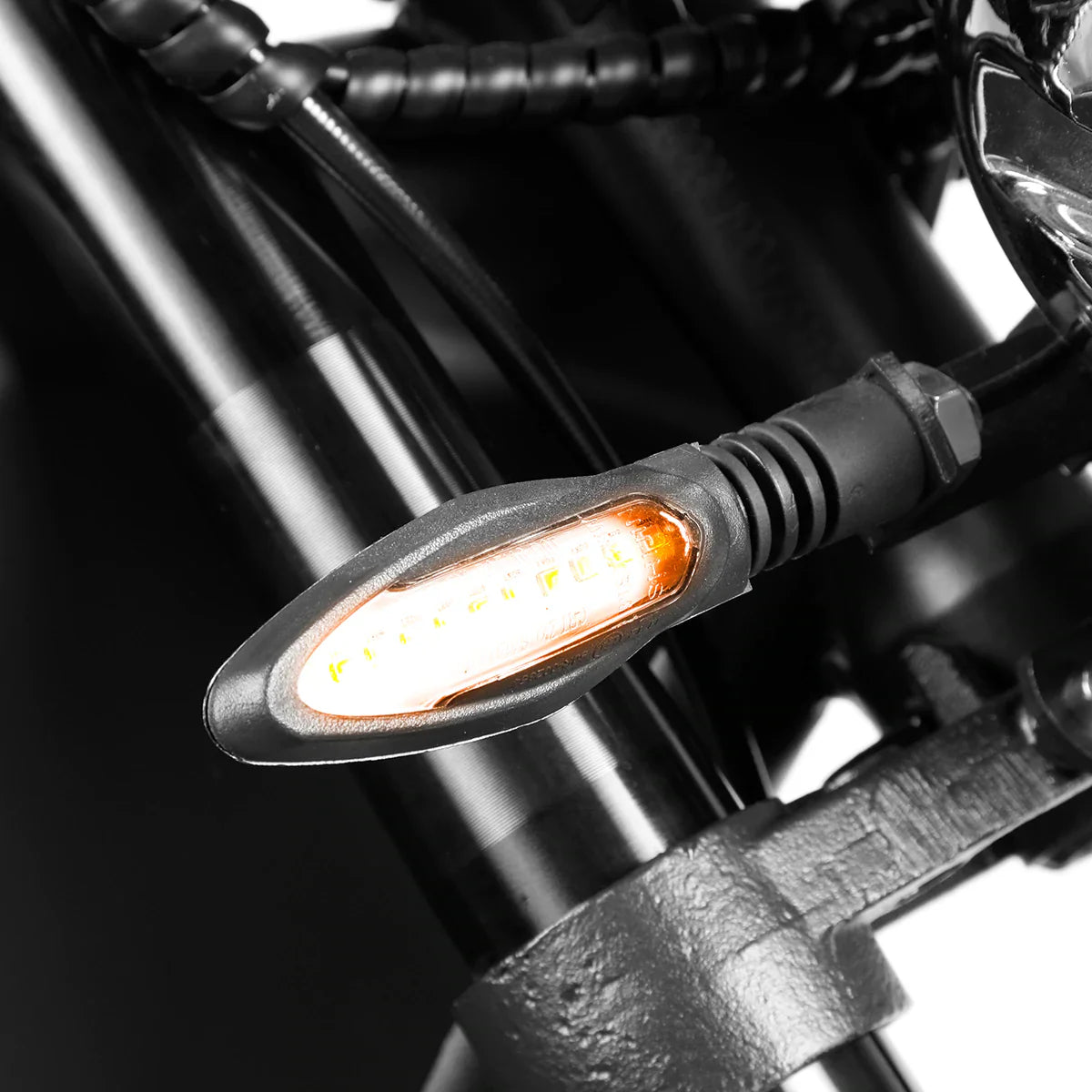 Eahora EMARS M1P electric chopper