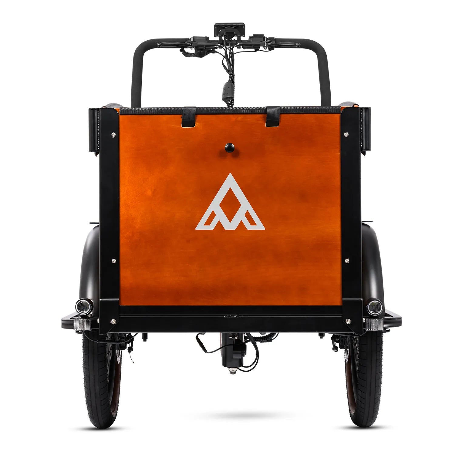 E-325 Family Electric Cargo Trike