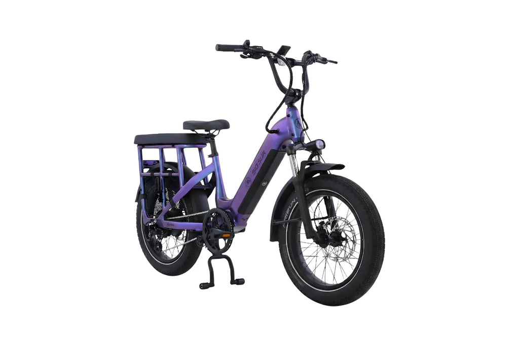 AIMA Big Sur U Cargo Ebike