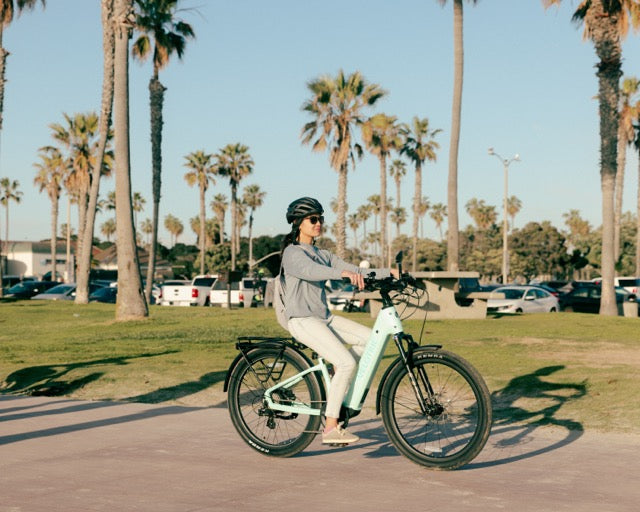 Velotric D2 Electric Bike