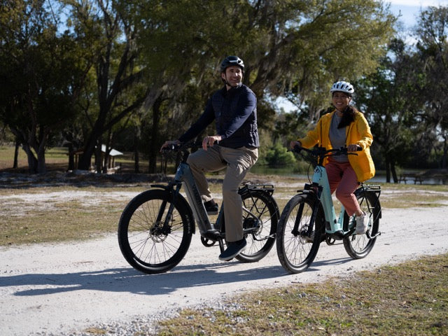 Velotric D2 Electric Bike