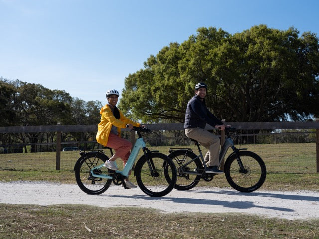Velotric D2 Electric Bike
