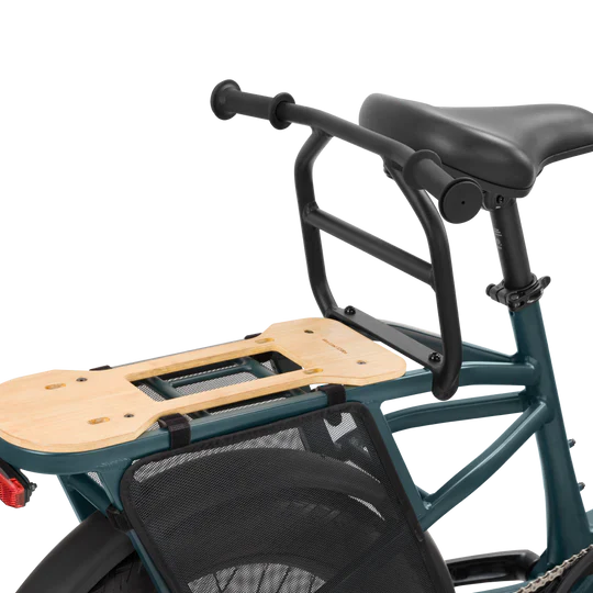 Rear Passenger Handles