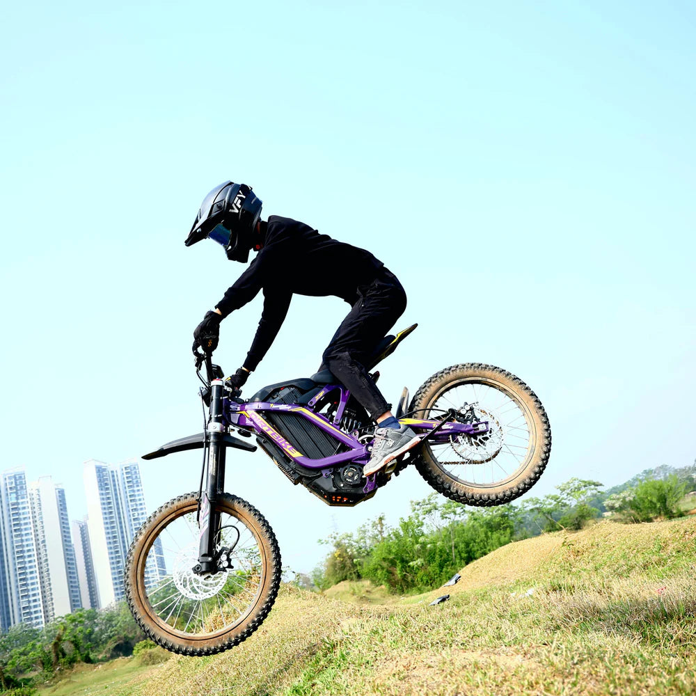 ThunderWasp X 10 (10,000 Watt Motor)