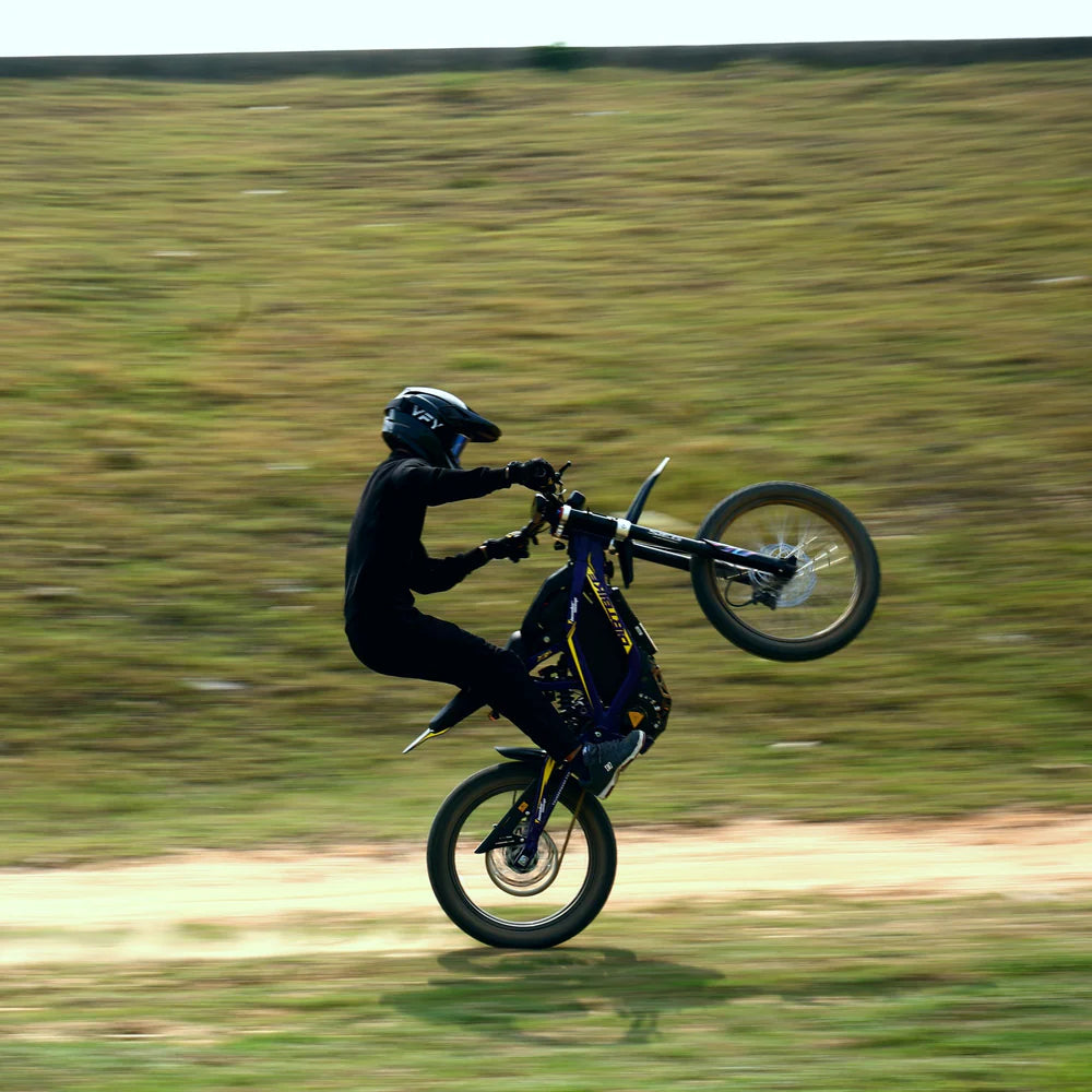 ThunderWasp X 10 (10,000 Watt Motor)