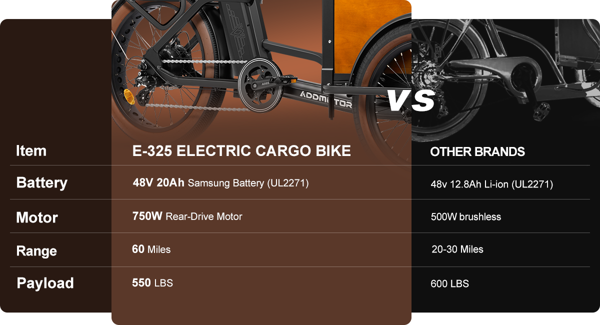 E-325 Family Electric Cargo Trike