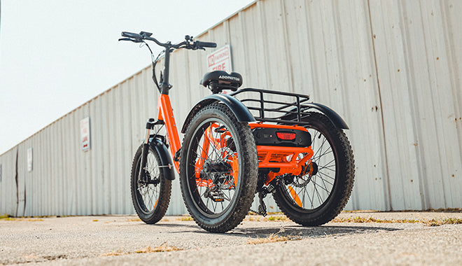 Citytan M-315 Folding eTrike